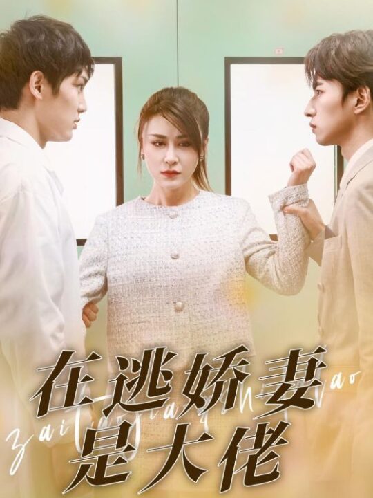 12601-在逃娇妻是大佬(77集)