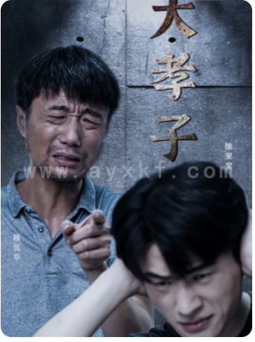 13105-大孝子(60集)