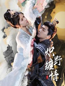 13173-炽野缠情(95集)