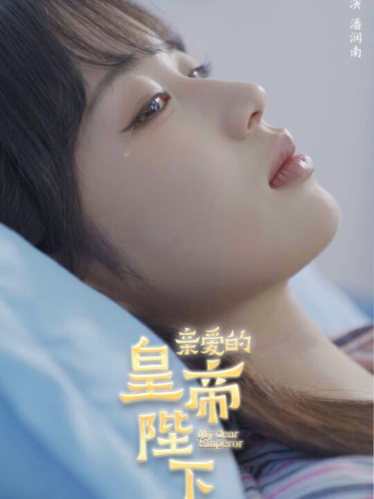 13320-亲爱的皇帝陛下(81集)