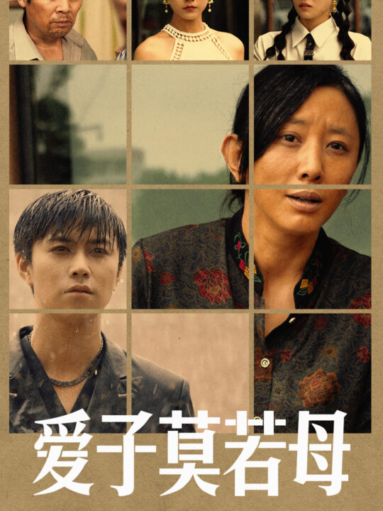 12729-爱子莫若母(51集)