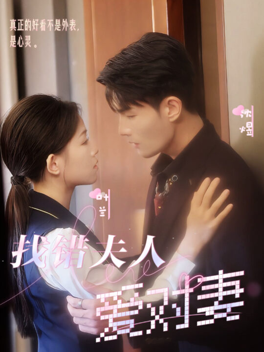 12831-找错夫人爱对妻(36集)