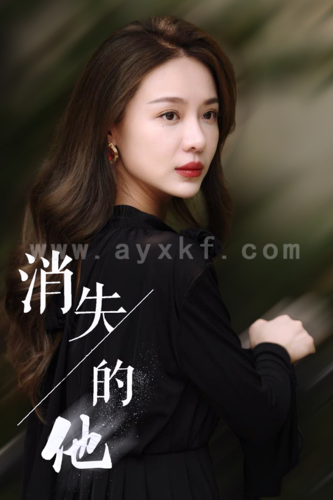 13110-消失的他(30集)