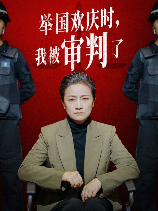 12783-举国欢庆时-我被审判了(35集)