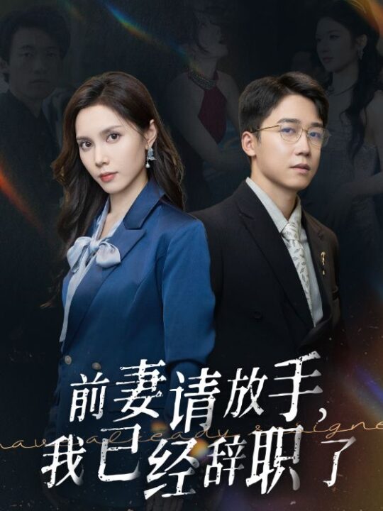 12902-前妻请放手-我已经辞职了(30集)陈舒琪