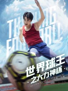 12910-世界球王之大力神杯(35集)