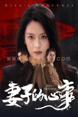 13153-妻子的心事(60集)