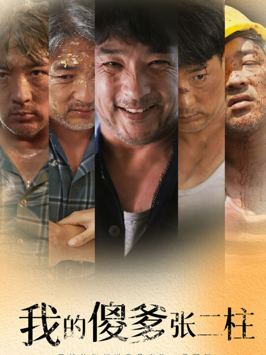 13136-我的傻爹张二柱(53集)