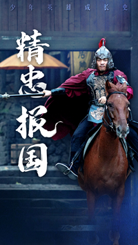 12846-精忠报国(41集)