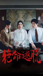 12532-绝命逃脱(30集)宋彧佳