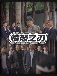 13225-愤怒之刃(35集)