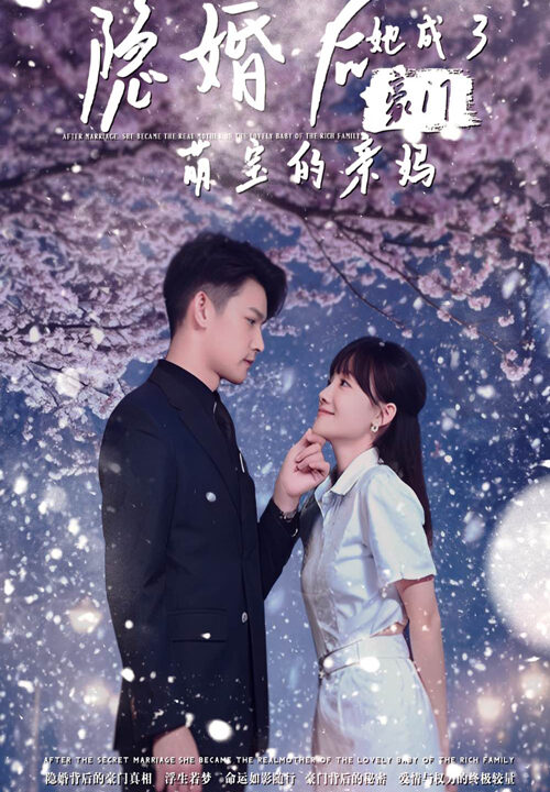 13102-隐婚后-她成了豪门萌宝的亲妈(69集)