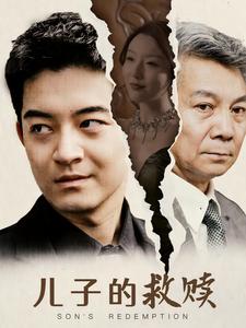 12547-儿子的救赎(47集)