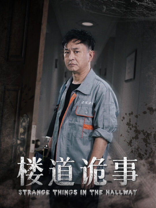 12565-楼道诡事&消失的1803(23集)