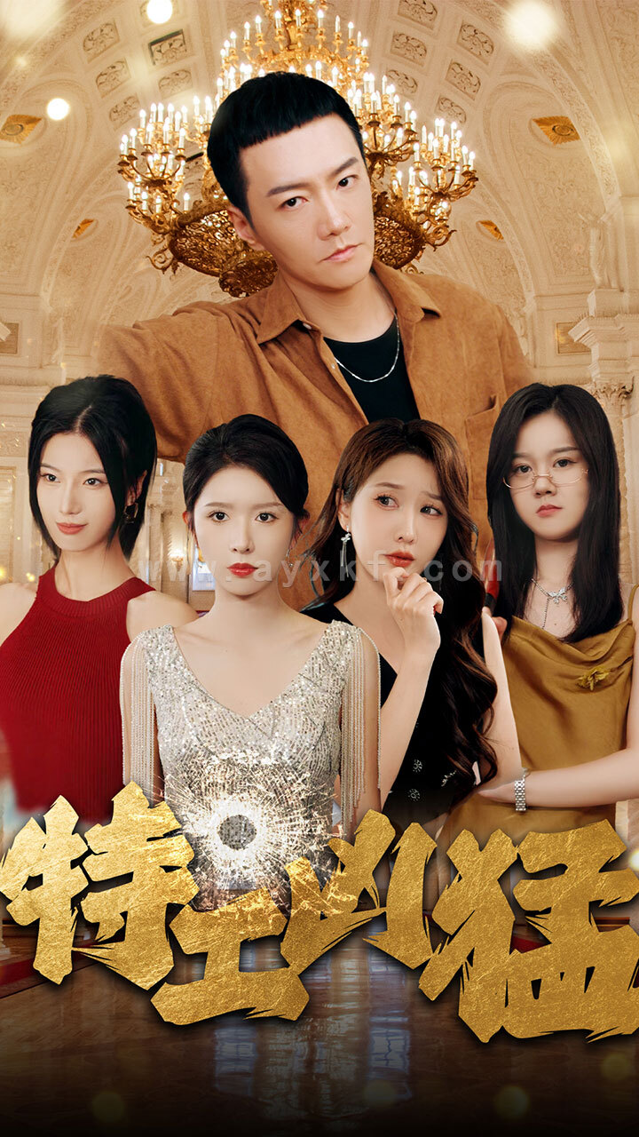 12756-特工凶猛(95集) 最新 图1张