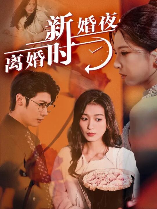 12743-新婚夜-离婚时(35集)