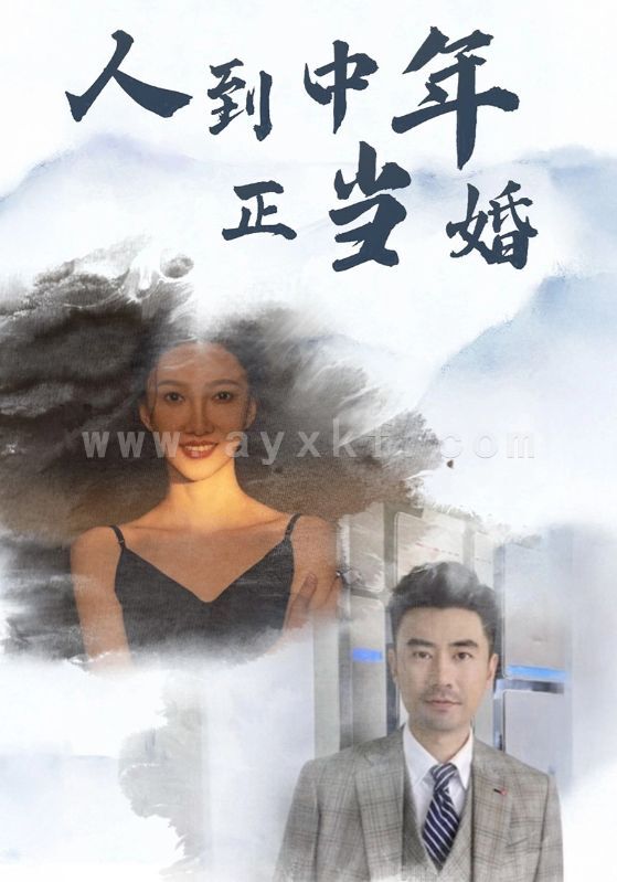 13117-人到中年正当婚(81集) 内容图1 一个实时收录全网最齐全的短视频短剧网剧小剧场的网站! 13117-人到中年正当婚(81集) 最新 图1张