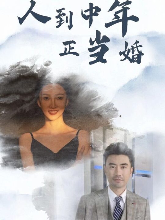 13117-人到中年正当婚(81集)