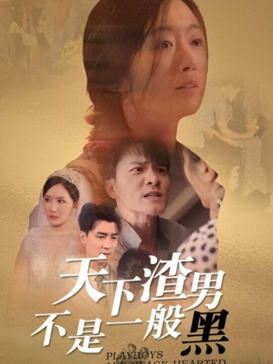 13277-天下渣男不是一般黑(42集)