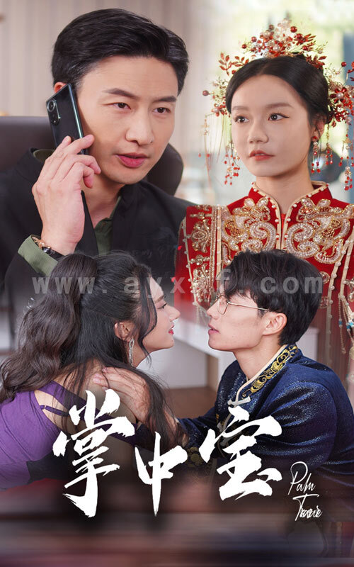 12721-掌中宝(31集) 内容图1 一个实时收录全网最齐全的短视频短剧网剧小剧场的网站! 12721-掌中宝(31集) 最新 图1张