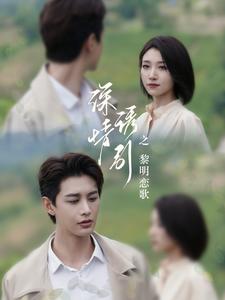 12677-深情诱引之黎明恋歌(99集)王格格