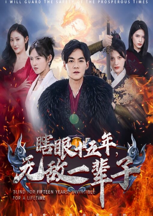 12498-眼瞎十五年-无敌一辈子(55集)