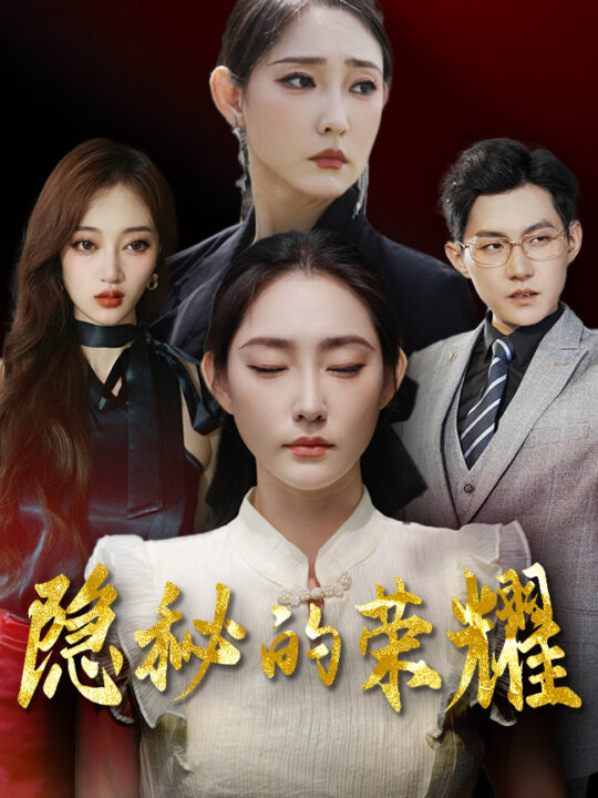 12550-隐秘的荣耀(35集)