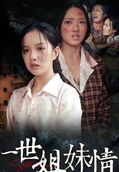 12544-一世姐妹情(69集)