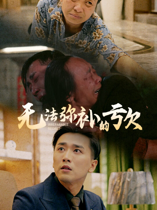 12936-无法弥补的亏欠(59集)陈思琦