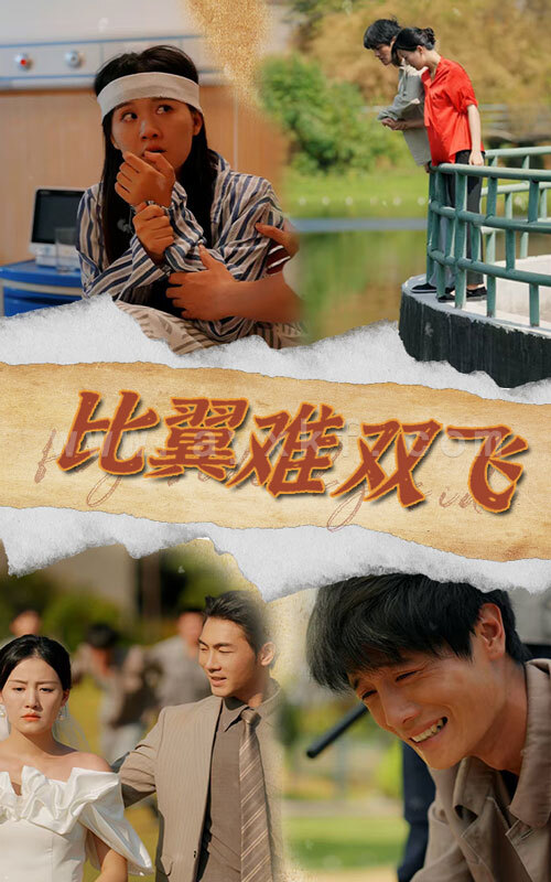 12990-比翼难双飞(30集) 内容图1 一个实时收录全网最齐全的短视频短剧网剧小剧场的网站! 12990-比翼难双飞(30集) 最新 图1张