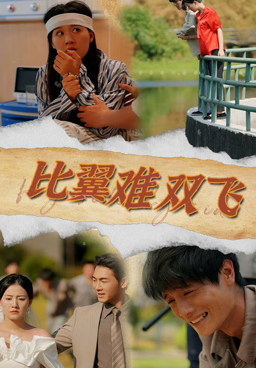 12990-比翼难双飞(30集)