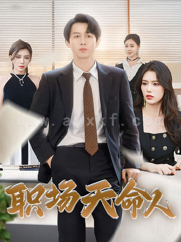 13381-职场天命人(76集)浩子