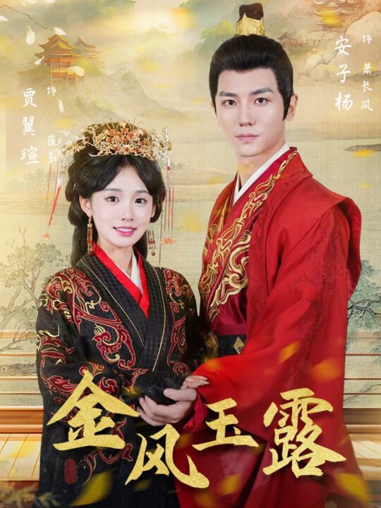 12797-金凤玉露(47集)贾翼萱