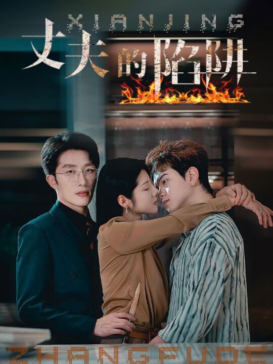 12556-丈夫的陷阱(42集)