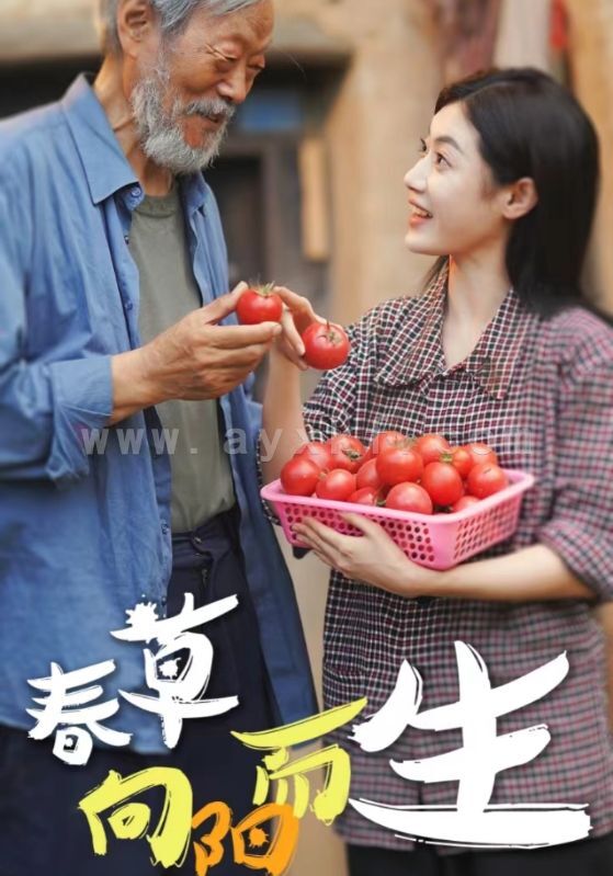 13174-春草向阳而生(53集) 内容图1 一个实时收录全网最齐全的短视频短剧网剧小剧场的网站! 13174-春草向阳而生(53集) 最新 图1张