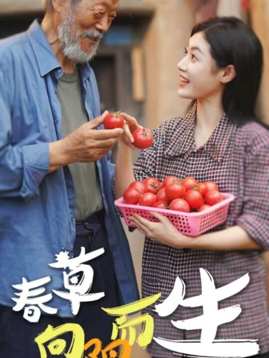 13174-春草向阳而生(53集)