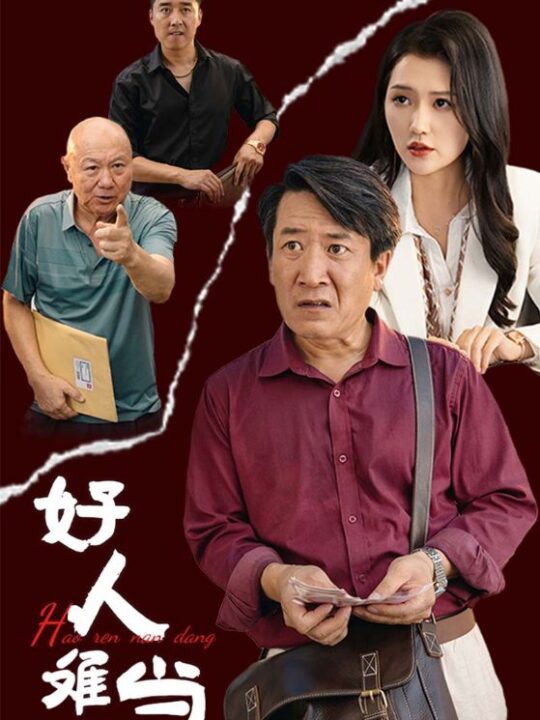 12954-好人难当(56集)