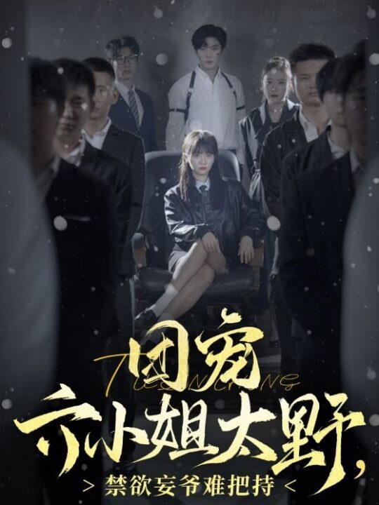 13437-团宠六小姐太野-禁欲妄爷难把持(90集)张北淅