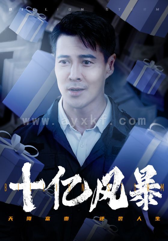 13048-十亿风暴(55集)丁海霞 最新 图1张