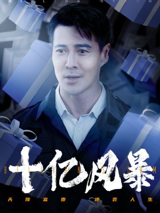 13048-十亿风暴(55集)丁海霞