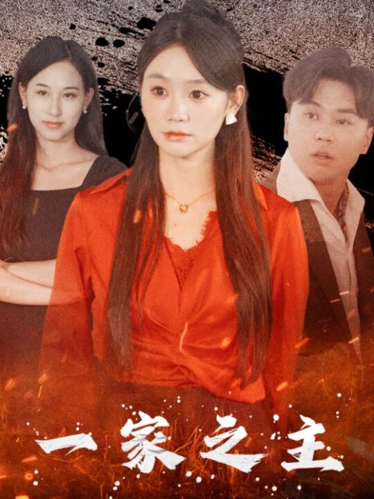 12620-一家之主(35集)