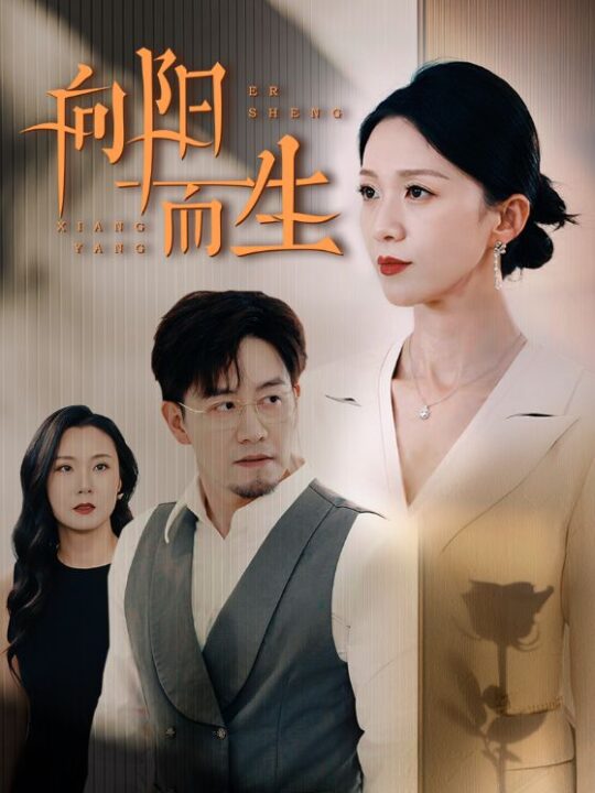 13167-向阳而生(60集)