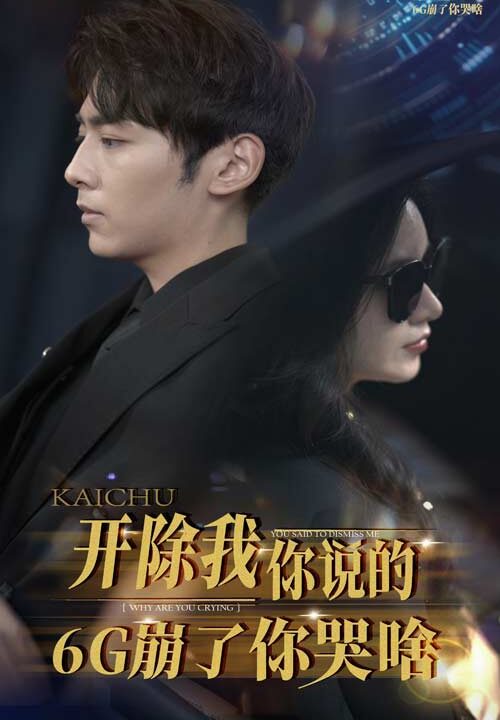 12984-开除我你说的6G崩了你哭啥(49集)