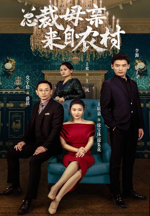 13284-总裁母亲来自农村(58集)