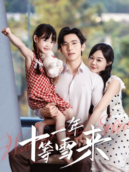 13016-十一年等雪来(50集)赵冠宇&蔚琳
