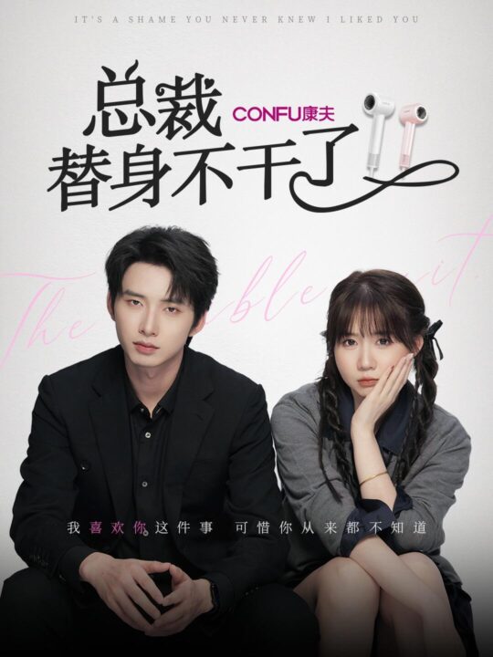 13459-总裁替身不干了(6集)丁公子＆彬彬