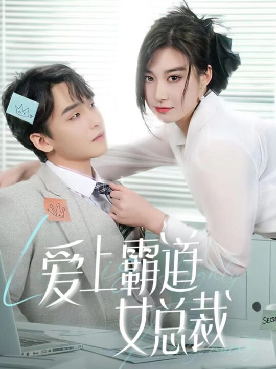 13065-爱上霸道女总裁(73集)