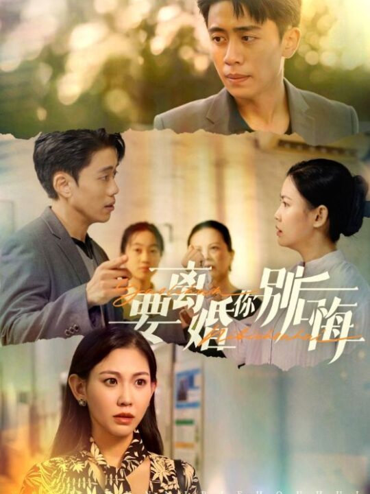 13201-要离婚你别后悔(34集)赵珞姿