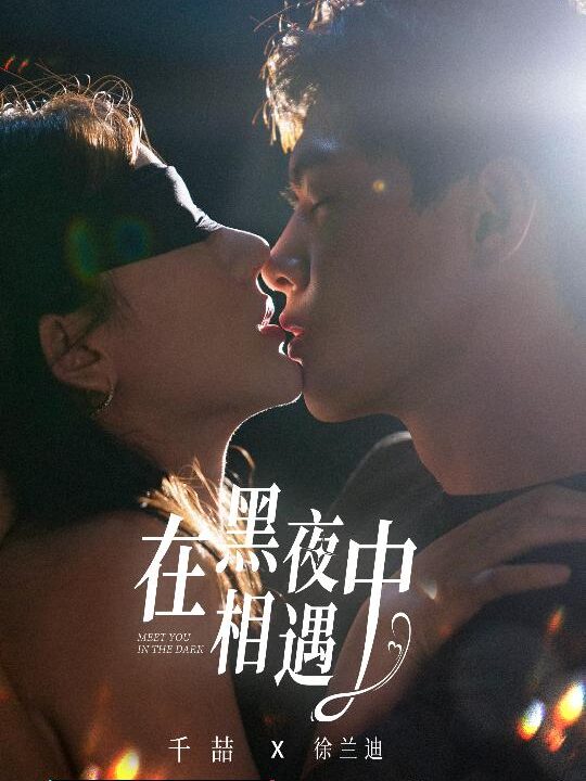 12508-在黑夜中相遇(32集)