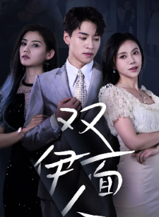 12535-双面伊人(34集)